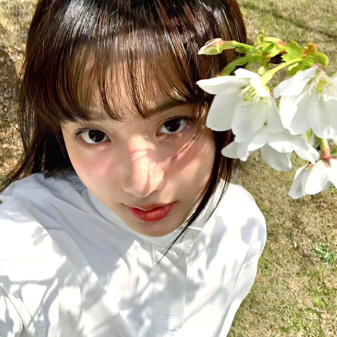 海棠不是鬓边红